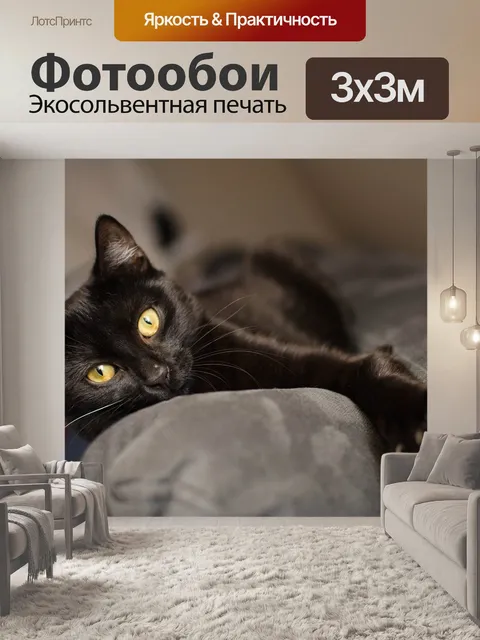 Фотообои Кошка