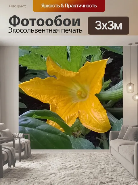Фотообои Цветок