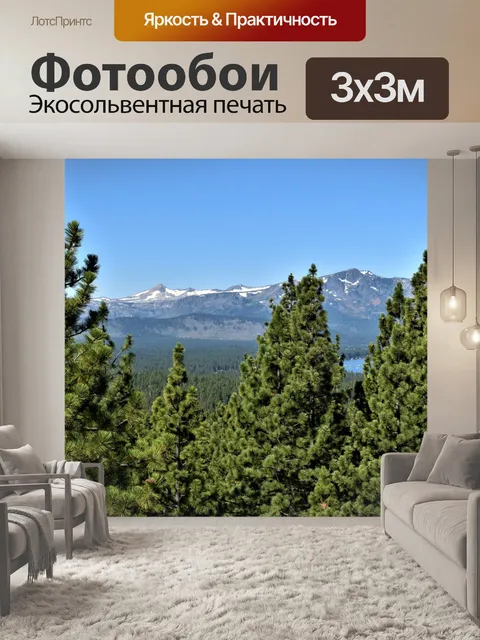 Фотообои Сосны с горой