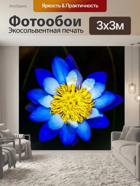 Фотообои цветок лотоса