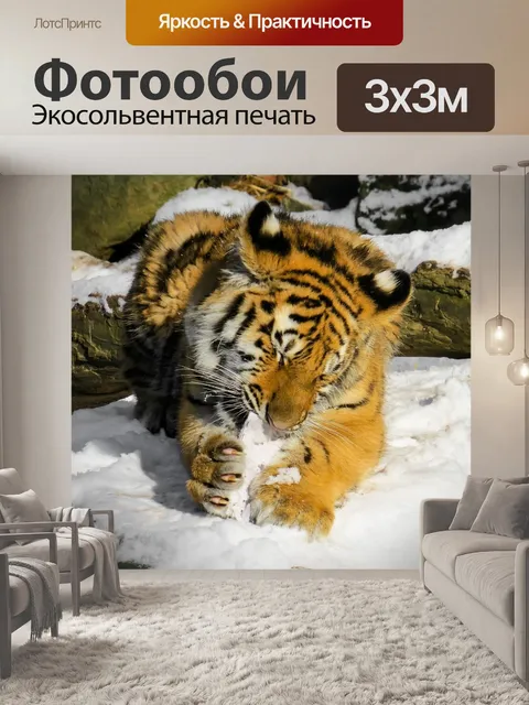 Фотообои Тигр