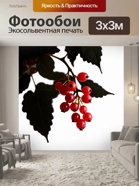 Фотообои Ягодная ветка красной смородины на фоне темных листьев