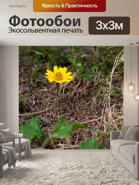 Фотообои Цветок