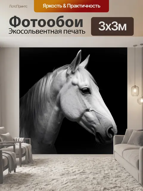 Фотообои Белая лошадь в профиль