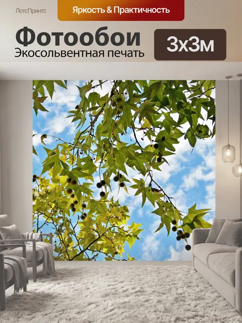 Фотообои платан листва