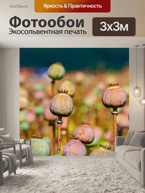 Фотообои Маковые капсулы