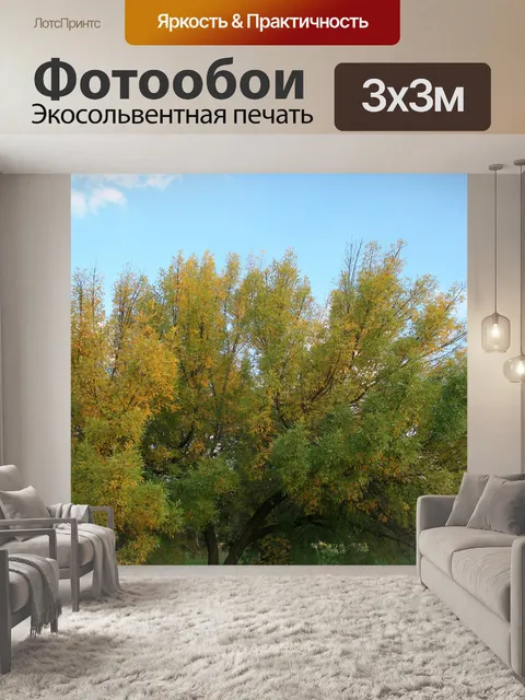Фотообои желтые осенние дерево
