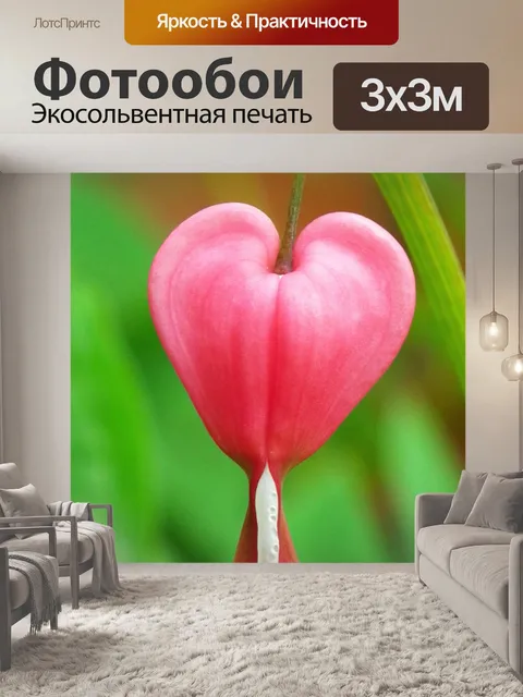 Фотообои Сердце цветок