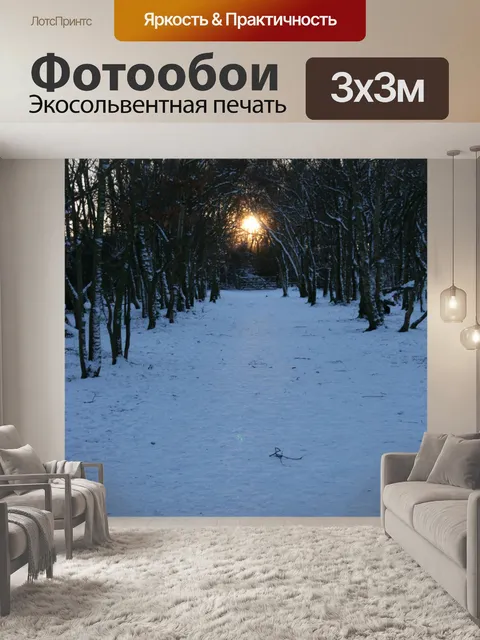 Фотообои Снег и ВС тоннеля