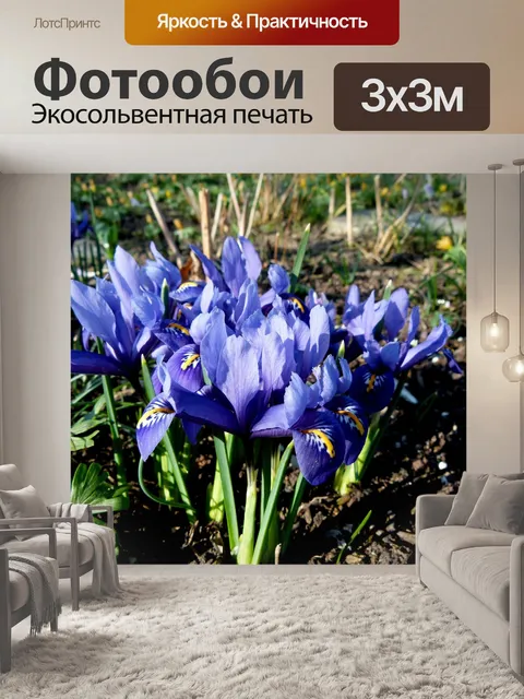 Фотообои Карликовый ирис