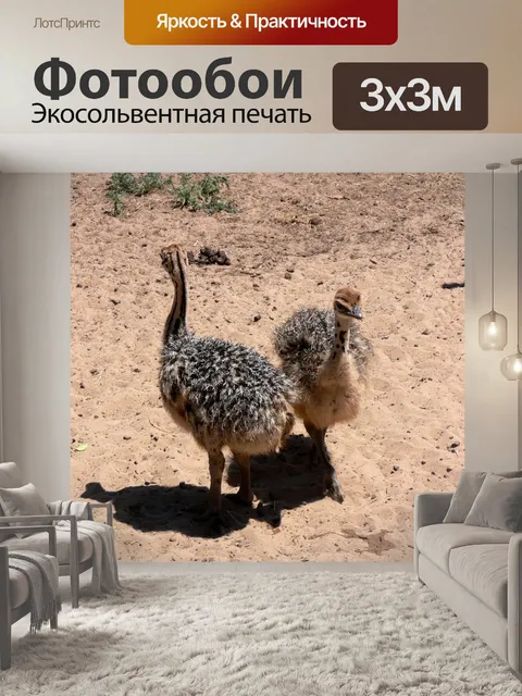 Фотообои Два птенца страуса