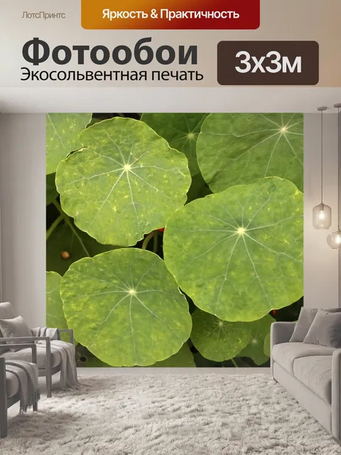 Фотообои Листья с округлыми прожилками у настурци