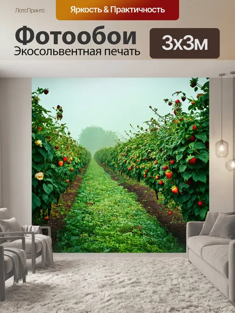 Фотообои туман в стиле арт-нуво, земляничные поля, скрытые в утреннем тумане, обилие зелени и цветочных акцентов