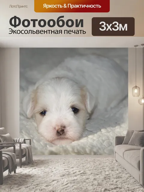 Фотообои Щенок