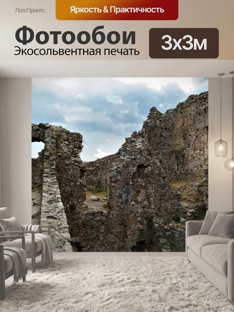 Фотообои Разорение