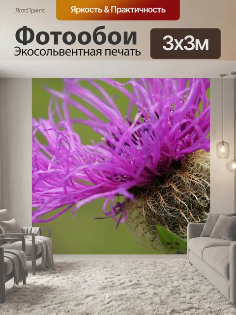 Фотообои Цветок