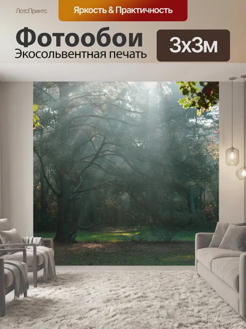 Фотообои Солнечные лучи