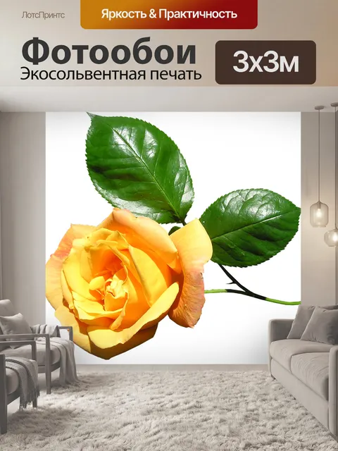 Фотообои Желтый