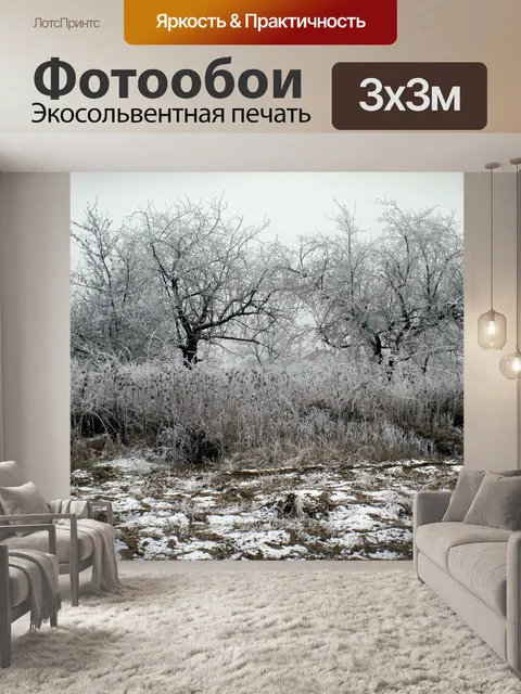 Фотообои Зима