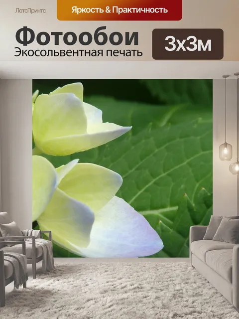 Фотообои Фиолетовые цветы