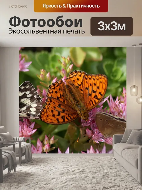 Фотообои Бабочка