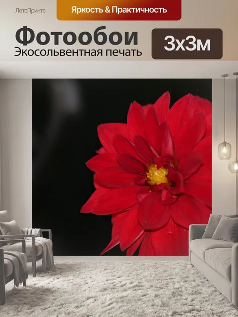Фотообои Красный пограничник