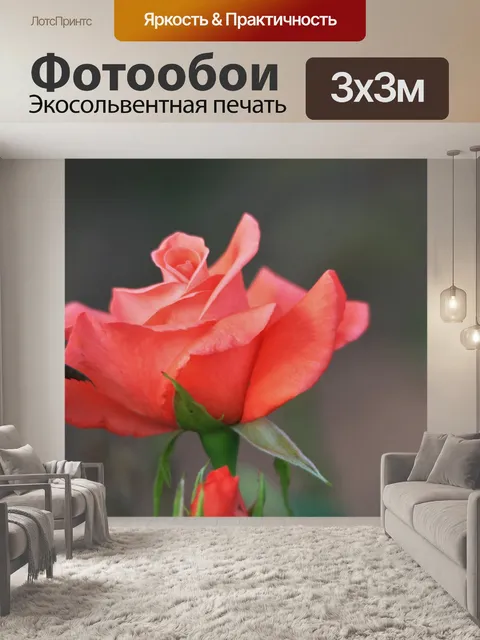 Фотообои мягкая вырос в розовом