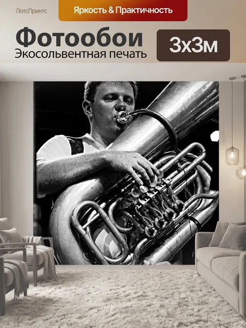 Фотообои Музыкант