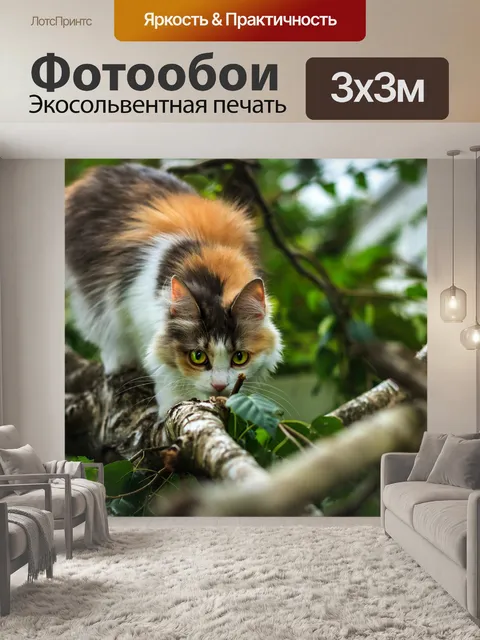 Фотообои Кошка