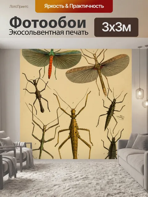 Фотообои Винтажное искусство иллюстрации насекомы
