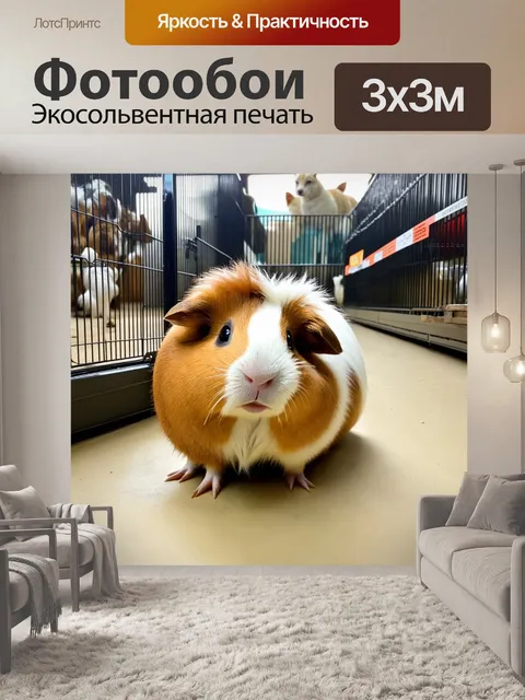 Фотообои морская свинка с выразительными глазами и пушистым хвостом исследует выставочный вольер в зоомагазине