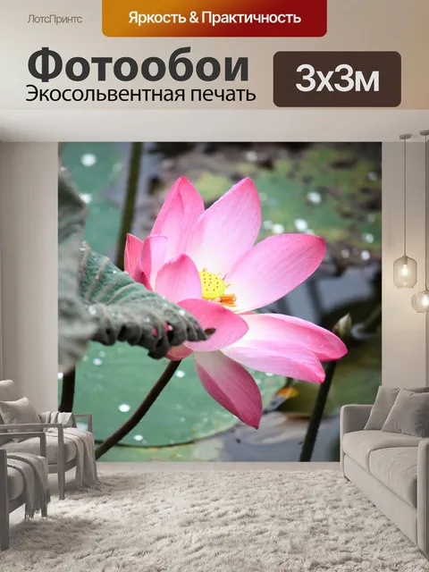 Фотообои красным цветком лотоса в цвету