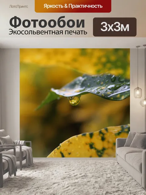 Фотообои Дождь