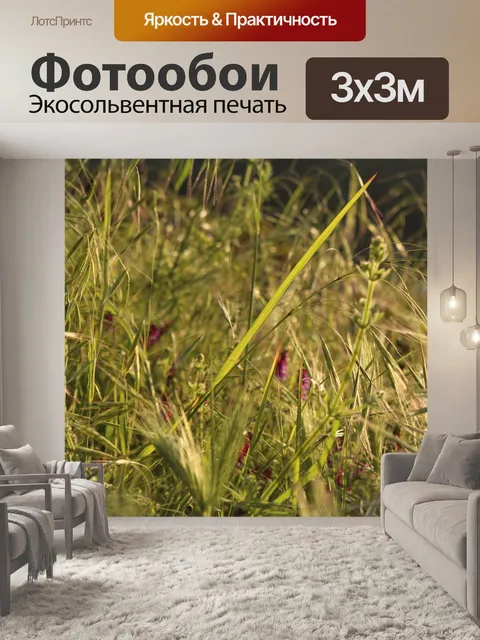 Фотообои Солнце