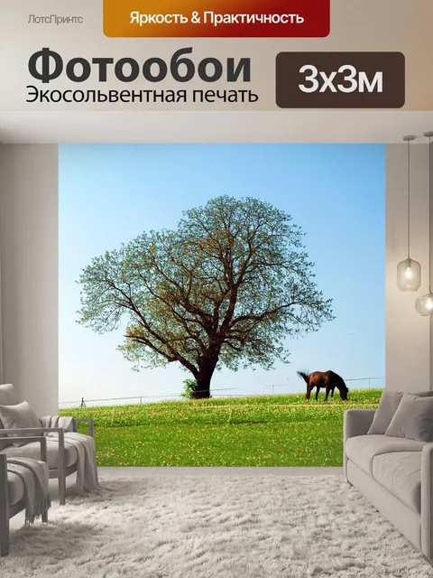 Фотообои Лошадь