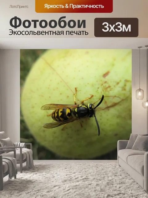 Фотообои оса на груше