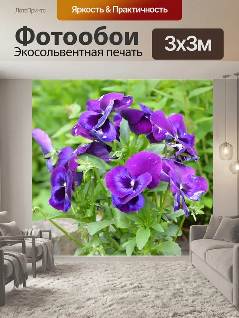 Фотообои Голландские цветы в садах 18