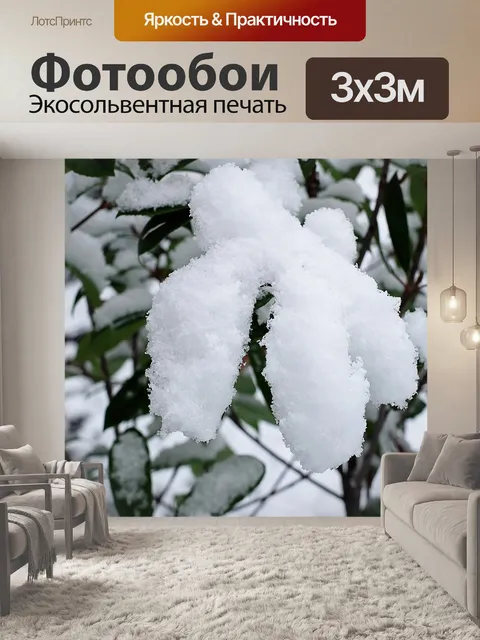 Фотообои Листья