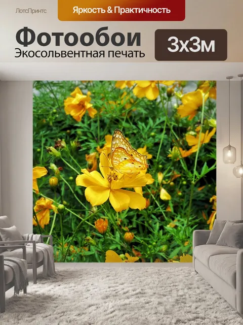 Фотообои Бабочка