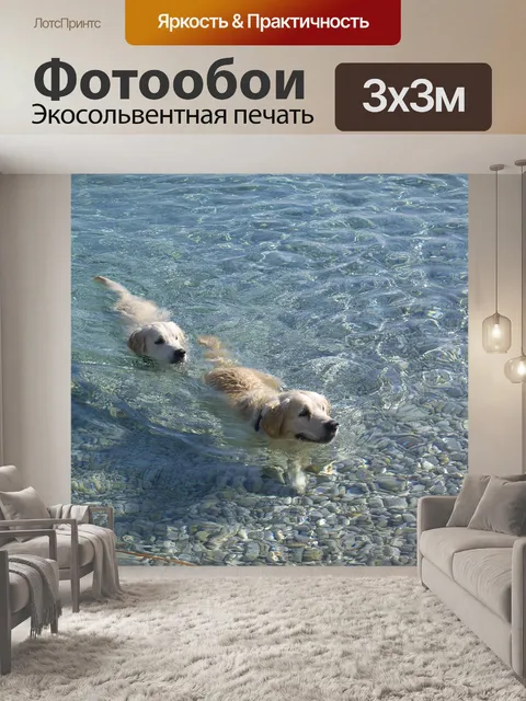 Фотообои Собаки