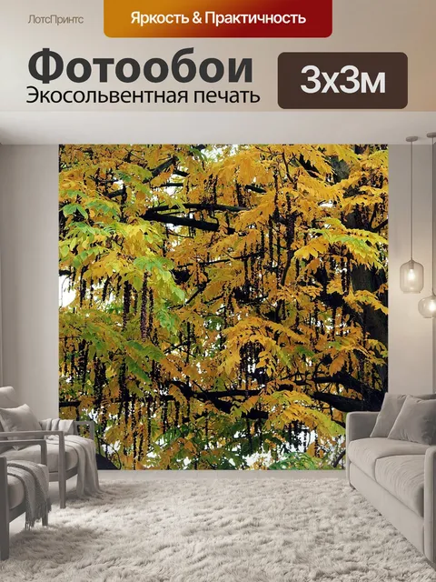 Фотообои Дерево