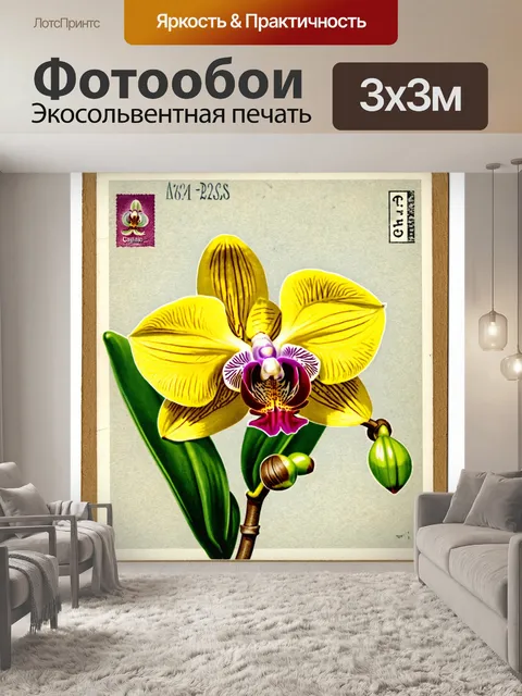 Фотообои орхидея, изображенная на старой карточке, как часть винтажной коллекции