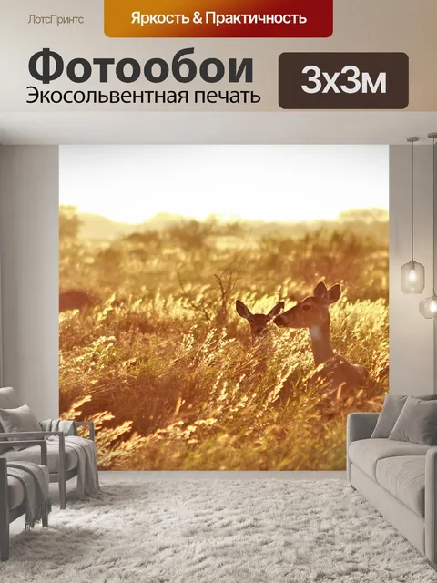 Фотообои Лань