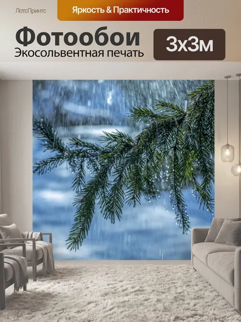 Фотообои Сосновая ветка под дождем