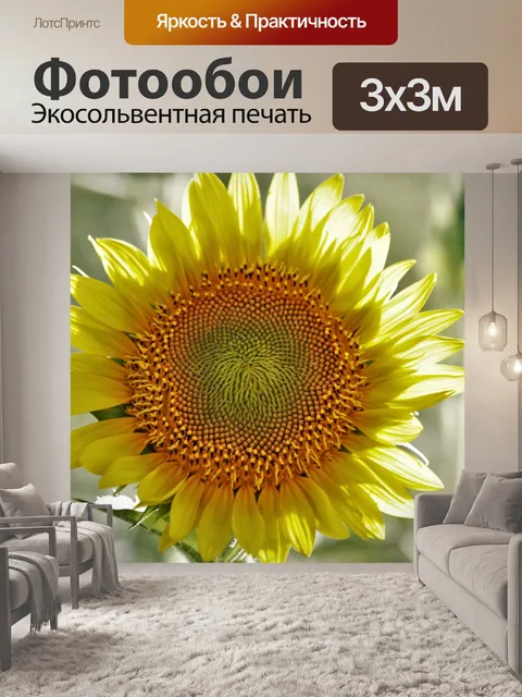 Фотообои Подсветка подсолнечника крупным планом