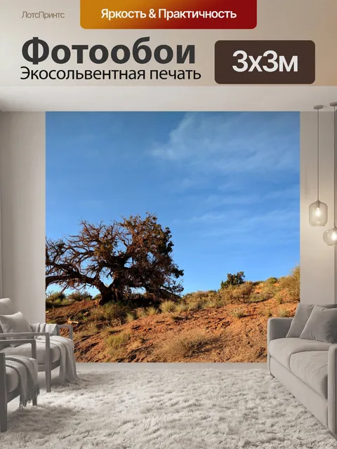 Фотообои Дерево пустыни