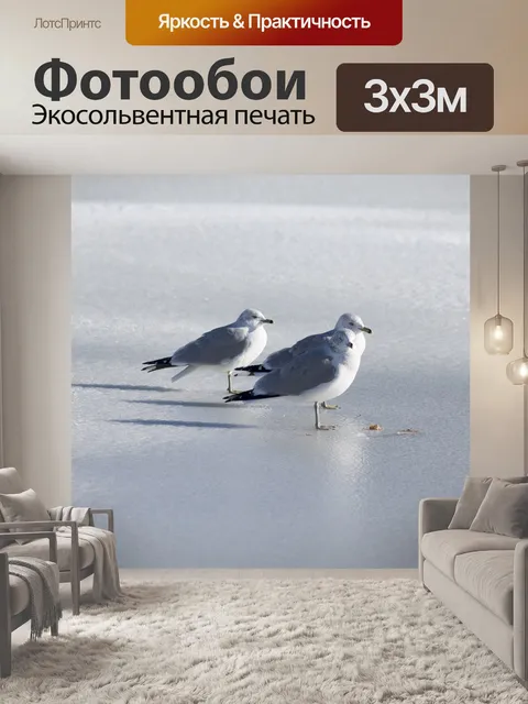 Фотообои Чайка