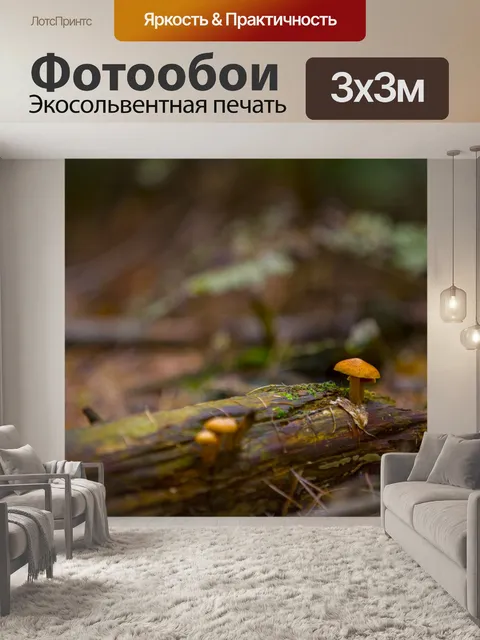 Фотообои грибы