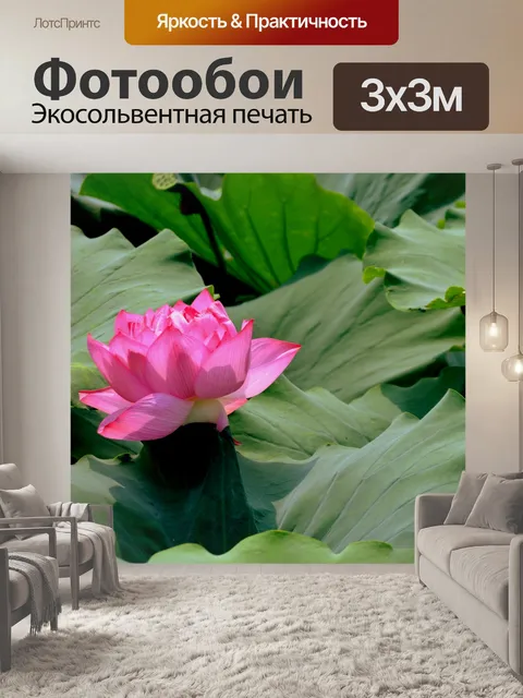 Фотообои Розовый лотос