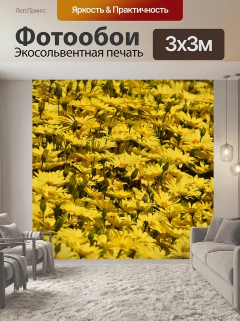 Фотообои Поле желтых ромашек